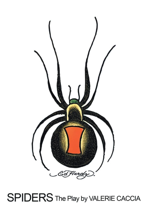 Knjiga Spiders Valerie Caccia