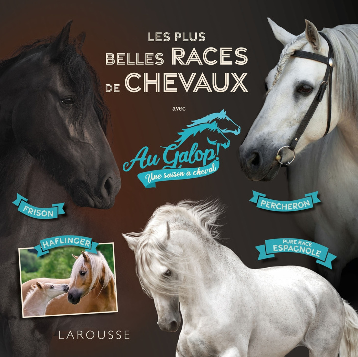 Kniha Au galop - Les plus belles races de chevaux Béatrix Lot