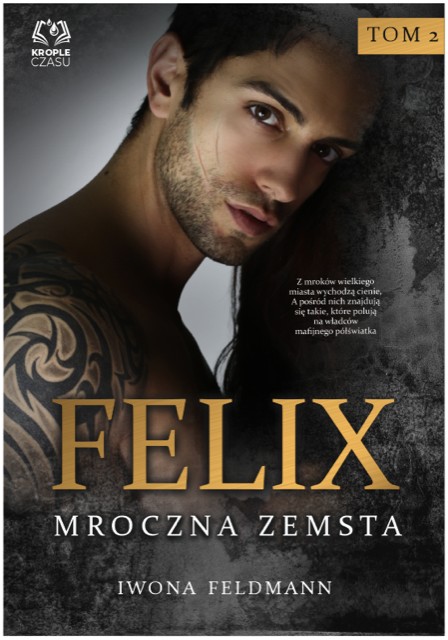 Buch Felix Mroczna zemsta Iwona Feldmann
