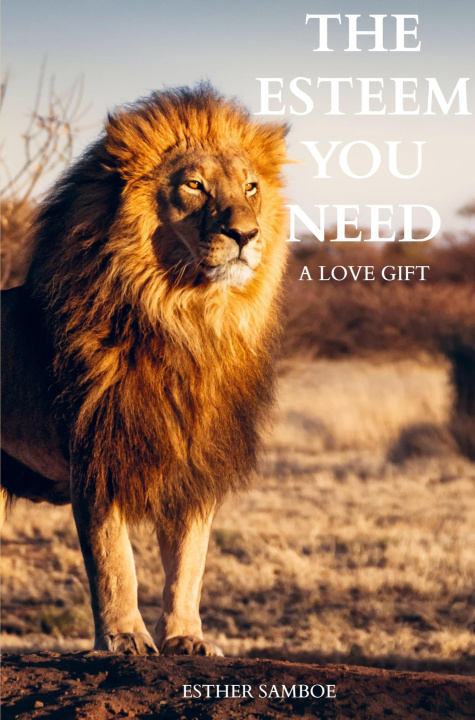 Knjiga The esteem you need Esther Samboe