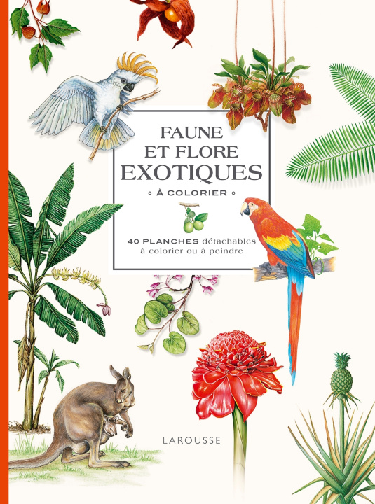 Kniha Faune et flore exotiques à colorier 