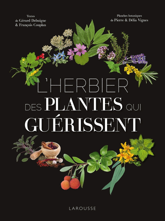 Kniha L'Herbier des plantes qui guérissent Pierre VIGNES