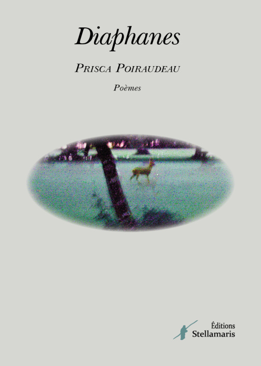 Knjiga Diaphanes Poiraudeau