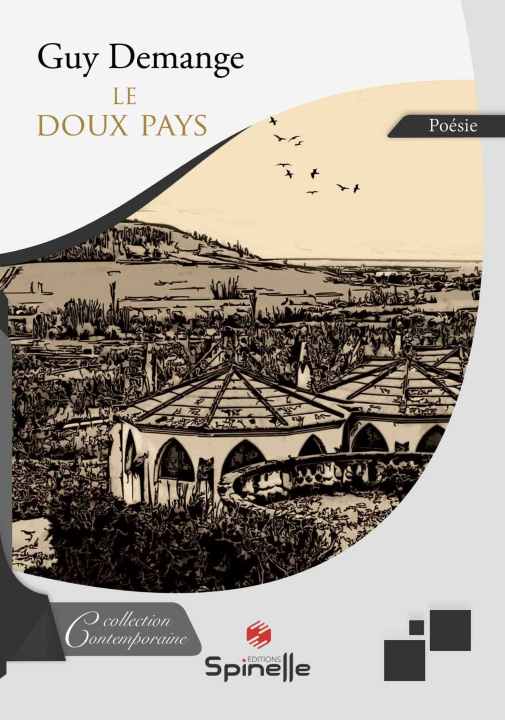 Kniha Le doux pays Demange