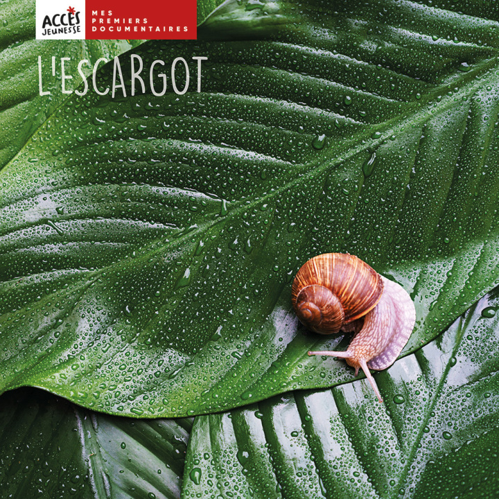 Buch L'escargot Léa