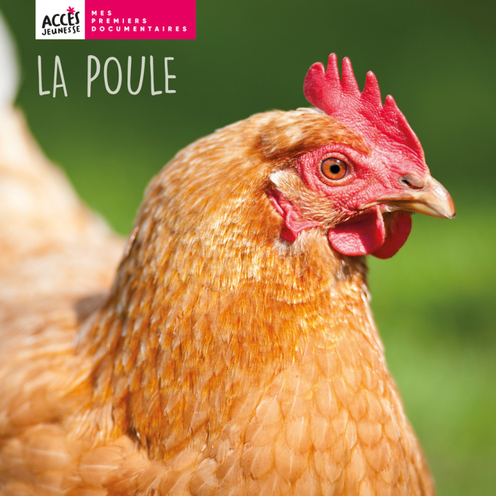 Boek LA POULE Léa