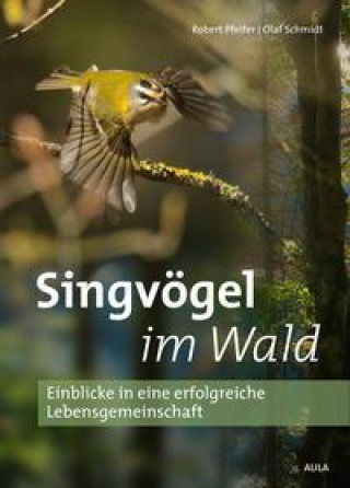 Kniha Singvögel im Wald Olaf Schmidt