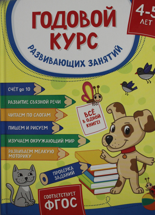 Könyv Годовой курс развивающих занятий для детей 4 - 5 лет 