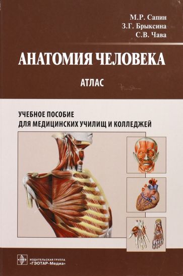 Könyv Анатомия человека. Атлас для медицинских училищ и колледжей Светлана Клочкова
