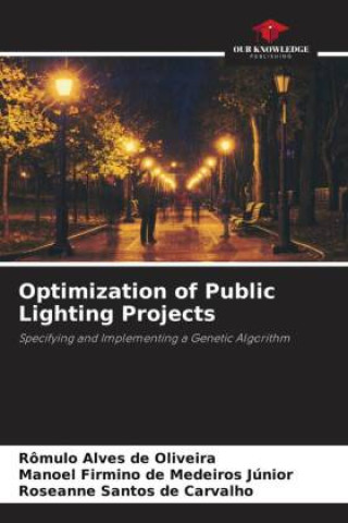 Βιβλίο Optimization of Public Lighting Projects Manoel Firmino de Medeiros Júnior