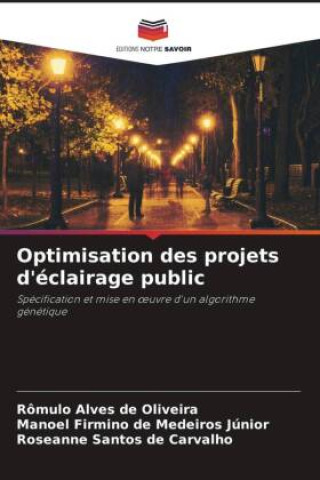 Knjiga Optimisation des projets d'éclairage public Manoel Firmino de Medeiros Júnior