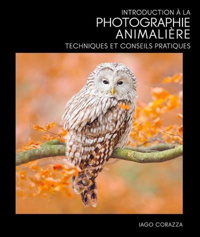 Könyv Introduction à la photographie animalière - Techniques et conseils pratiques Iago Corazza
