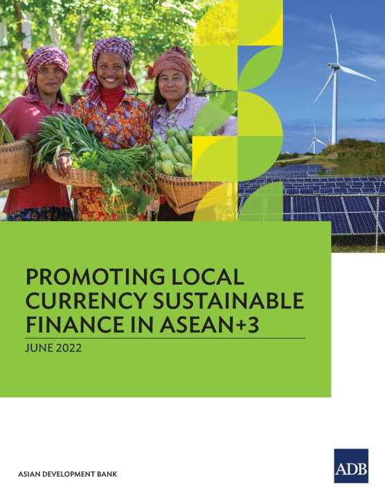 Buch Promoting Local Currency Sustainable Finance in ASEAN+3 Asian Development Bank