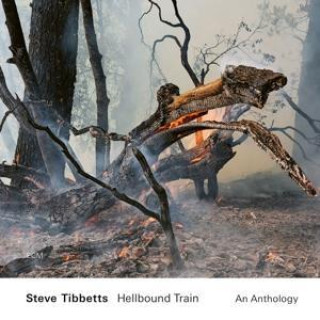 Audio Steve Tibbetts: Hellbound Train Steve Tibbetts