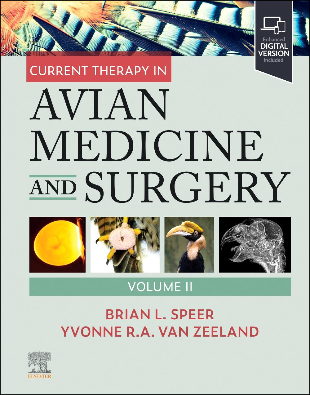 Książka Current Therapy in Avian Medicine and Surgery Volume II Brian Speer