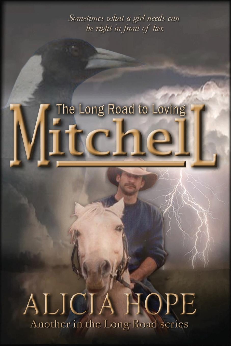Book Long Road to Loving Mitchell Alicia Hope