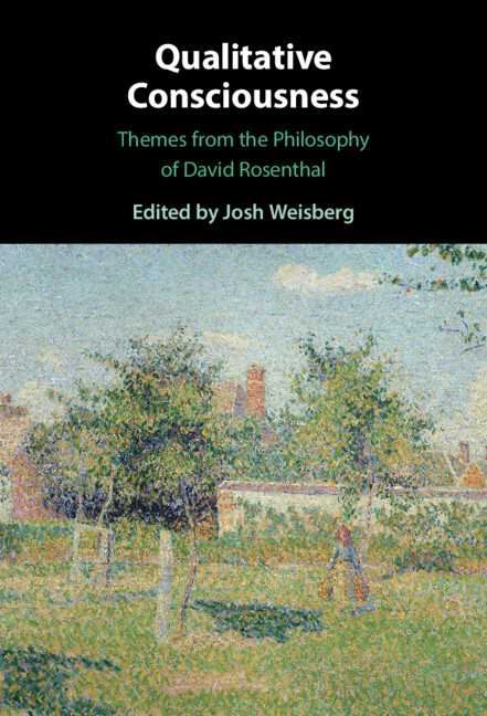 Libro Qualitative Consciousness Josh Weisberg