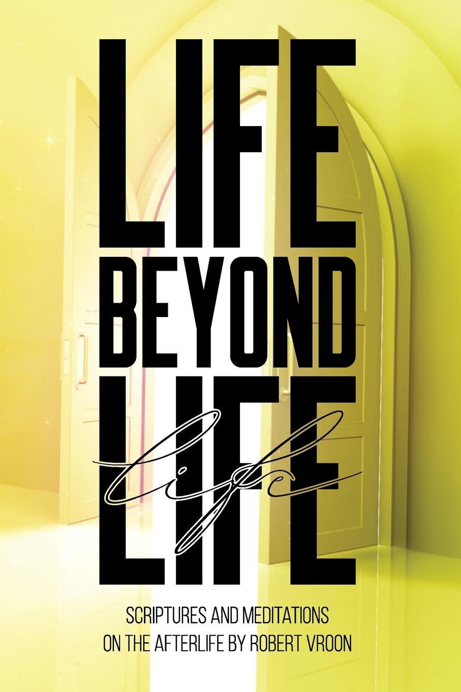 Knjiga Life Beyond Life Robert Vroon