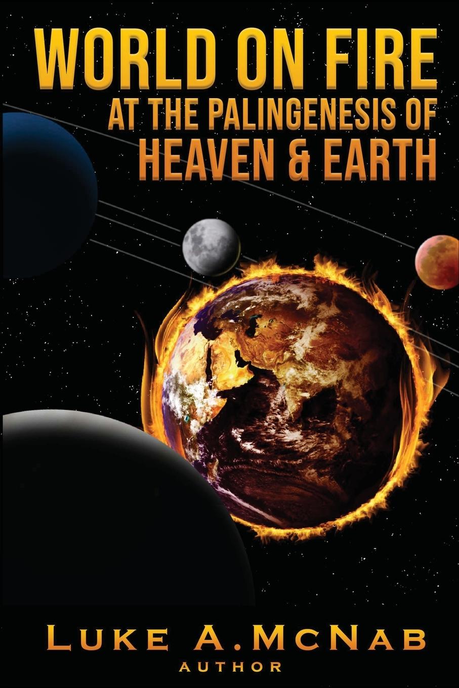 Buch World on Fire at the Palingenesis of Heaven & Earth Luke McNab