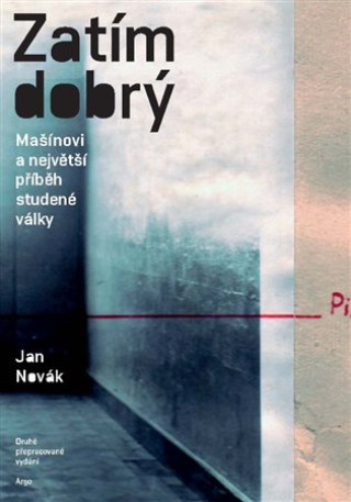 Knjiga Zatím dobrý Jan Novák