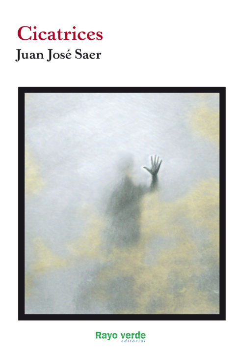 Book Cicatrices JUAN JOSE SAER