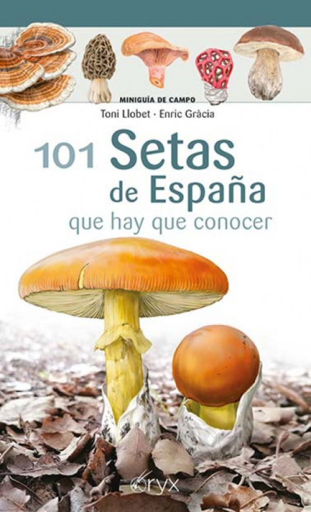 Kniha 101 Setas de España TONI LLOBET