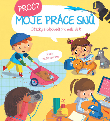 Buch Proč? Moje práce snů 