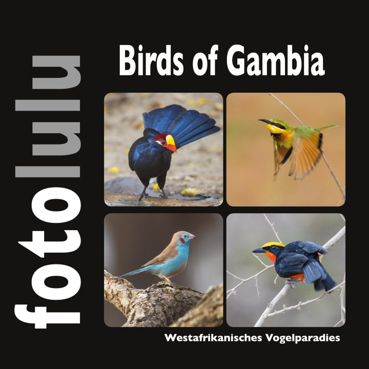 Könyv Birds of Gambia 