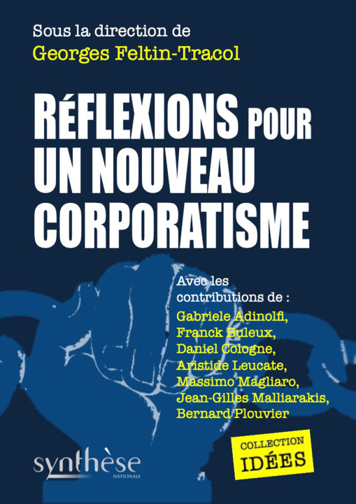 Kniha Réflexions pour un nouveau corporatisme Feltin-Tracol