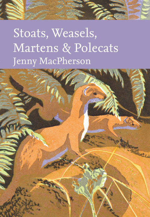 Knjiga Small Mustelids Jenny MacPherson