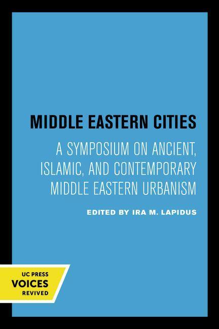 Kniha Middle Eastern Cities Ira M. Lapidus