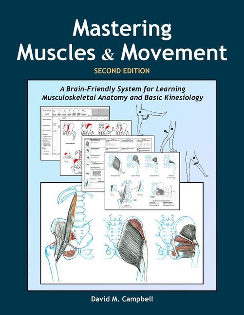 Книга Mastering Muscles and Movement: A Brain-Friendly System for Learning Musculoskeletal Anatomy and Basic Kinesiology 