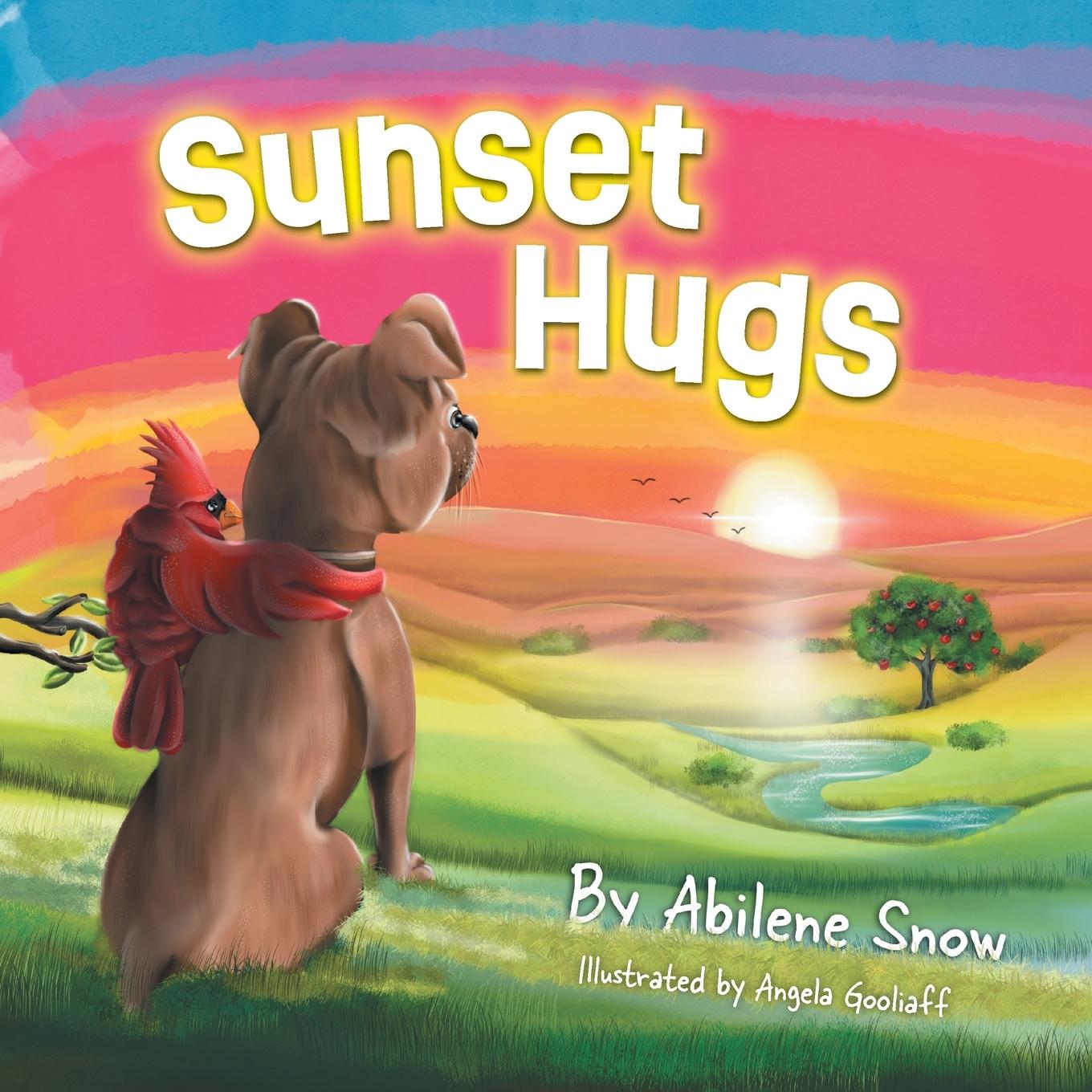 Knjiga Sunset Hugs Abilene Snow