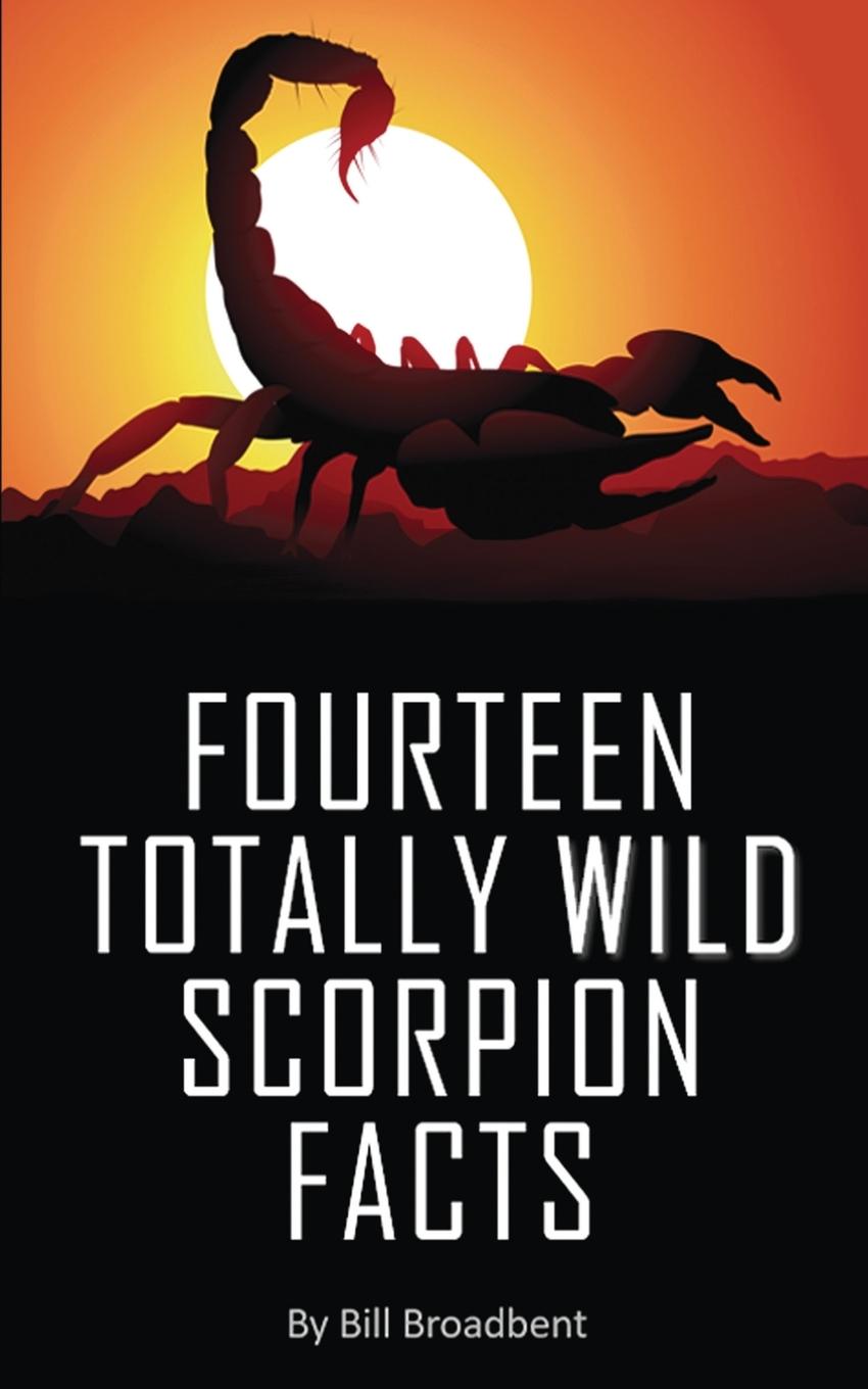 Kniha Fourteen Totally Wild Scorpion Facts 