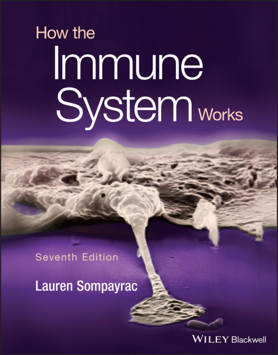 Kniha How the Immune System Works, 7th Edition 