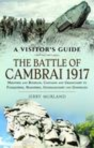 Book Battle of Cambrai 1917 Jerry Murland