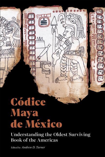 Книга Codice Maya de Mexico 
