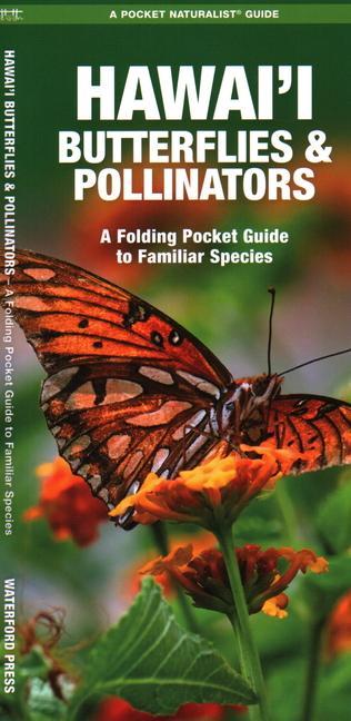 Книга Hawai'i Butterflies and Pollinators: A Folding Pocket Guide to Familiar Species 