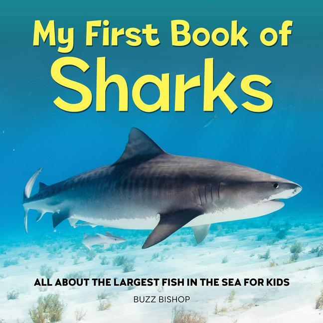 Kniha My First Book of Sharks: All about the Largest Fish in the Sea for Kids 