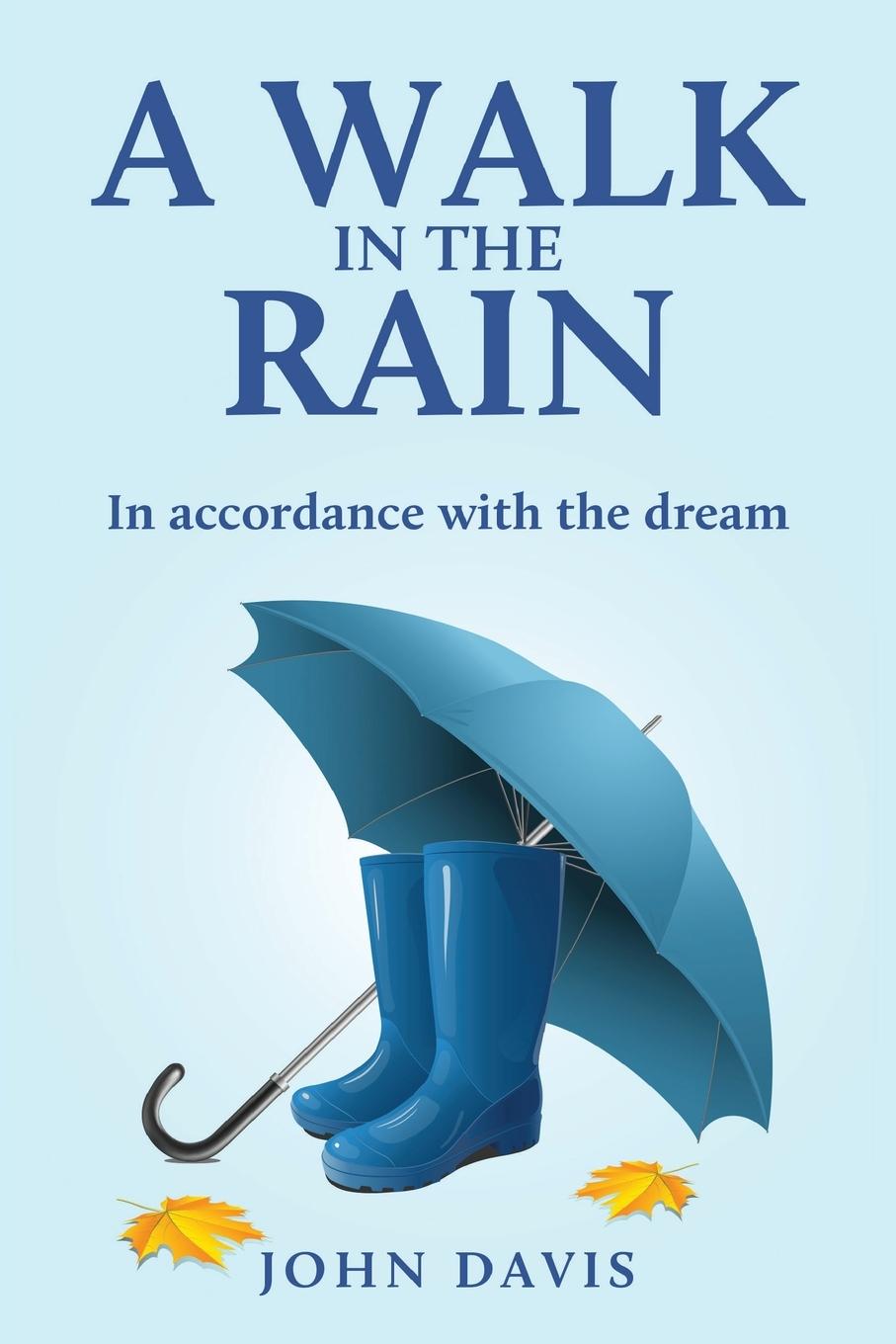 Книга A Walk in the Rain 