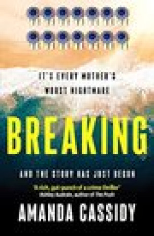 Book Breaking Amanda Cassidy