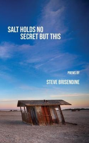 Book Salt Holds No Secrets But This Steve Brisendine