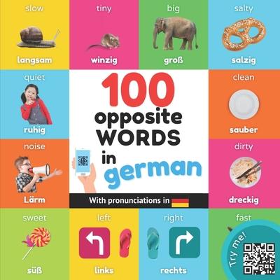 Buch 100 opposite words in german 