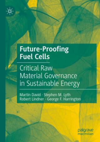 Buch Future-Proofing Fuel Cells Martin David