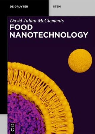 Kniha Food Nanotechnology 