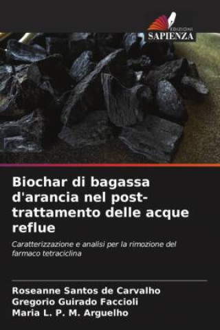 Könyv Biochar di bagassa d'arancia nel post-trattamento delle acque reflue Gregorio Guirado Faccioli