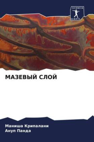 Buch MAZEVYJ SLOJ Anup Panda