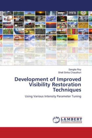 Knjiga Development of Improved Visibility Restoration Techniques Sheli Sinha Chaudhuri