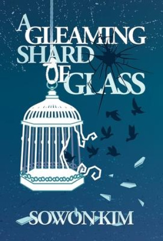 Buch Gleaming Shard of Glass Sowon Kim