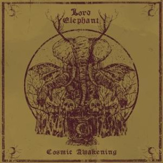 Zvok Cosmic Awakening Lord Elephant